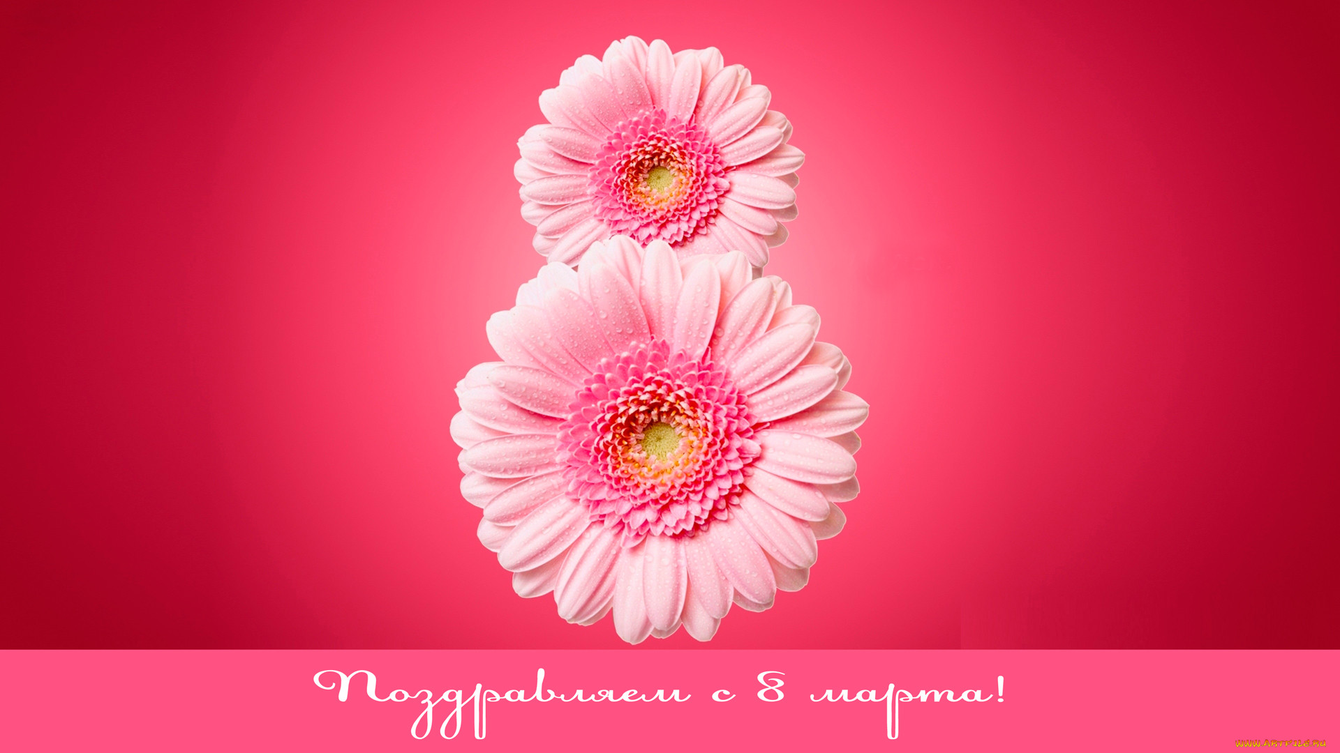   8 , ,    - 8 , 2017, holidays, international, womens, day, eight, march, 8, , , 